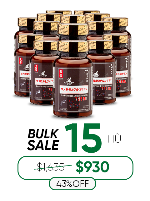 SHARK CARTILAGE & GLUCOSAMINE - SỤN CÁ MẬP CHO XƯƠNG KHỚP 日本のサメ軟骨
