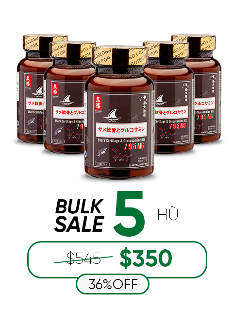 SHARK CARTILAGE & GLUCOSAMINE - SỤN CÁ MẬP CHO XƯƠNG KHỚP 日本のサメ軟骨