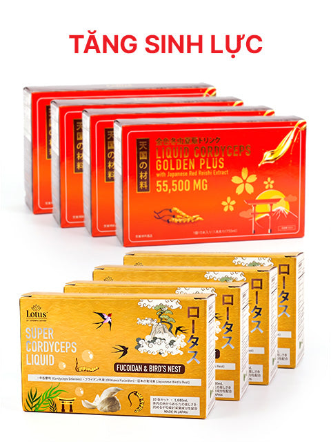 COMBO TĂNG SINH LỰC 8 HỘP - NƯỚC UỐNG ĐÔNG TRÙNG HẠ THẢO ĐẶC BIỆT 特選冬虫夏草ドリンク