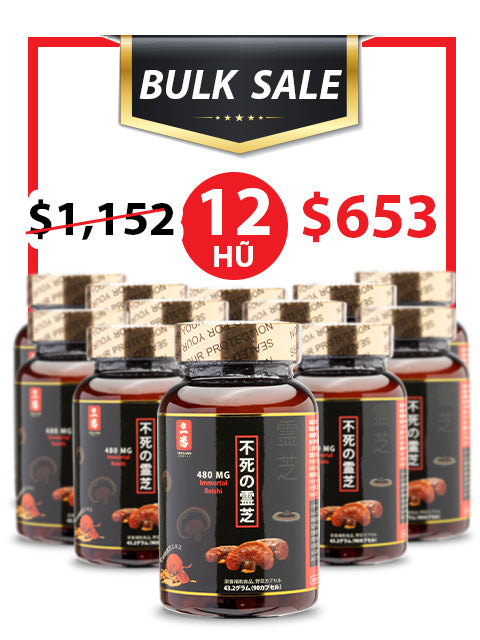 BULK SALE SAVING 12 HŨ - NANO LINH CHI ĐỎ NHẬT BẢN 480MG