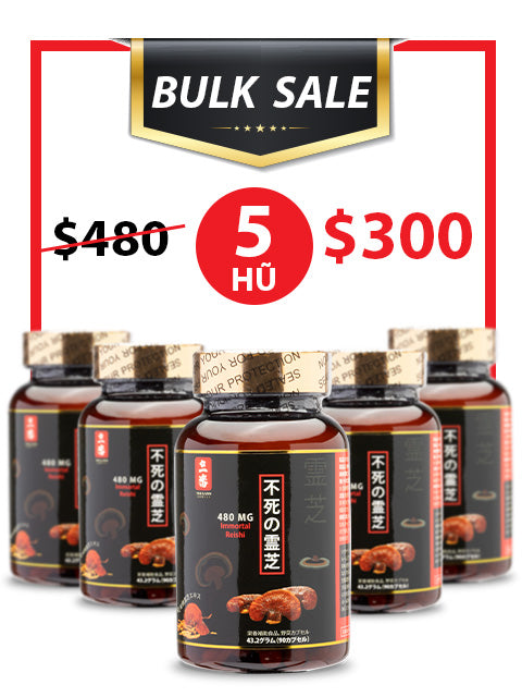 BULK SALE SAVING 5 HŨ - NANO LINH CHI ĐỎ NHẬT BẢN 480MG
