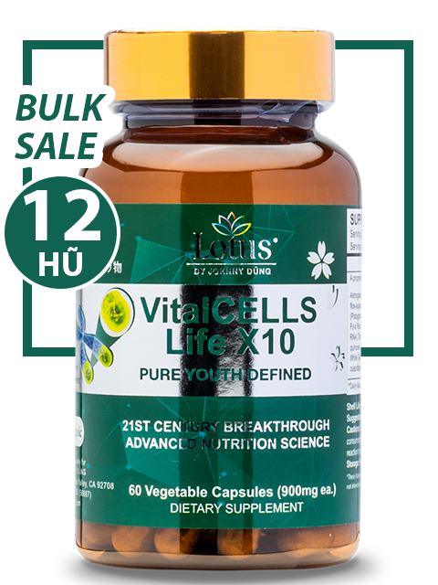 BULK SALE SAVING 12 HŨ - VITALCELLS LIFE X10 TRƯỜNG SANH TỰ CHI THẢO