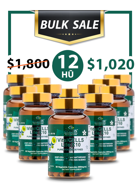 BULK SALE SAVING 12 HŨ - VITALCELLS LIFE X10 TRƯỜNG SANH TỰ CHI THẢO