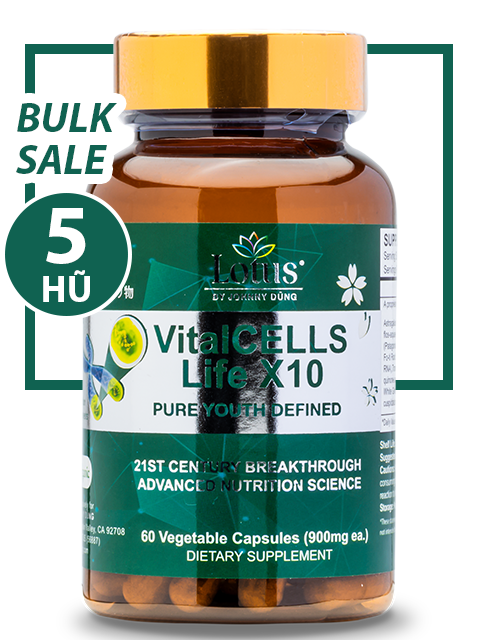 BULK SALE SAVING 5 HŨ - VITALCELLS LIFE X10 TRƯỜNG SANH TỰ CHI THẢO