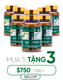 VitalCELLS LIFE X10 - TRƯỜNG SANH TỰ CHI THẢO テロメアからの生命力