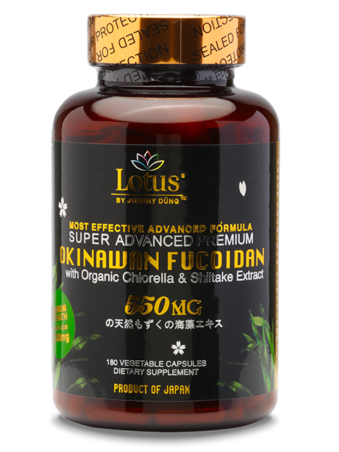 SUPER ADVANCED FUCOIDAN SHIITAKE 550MG - 180 CAPS