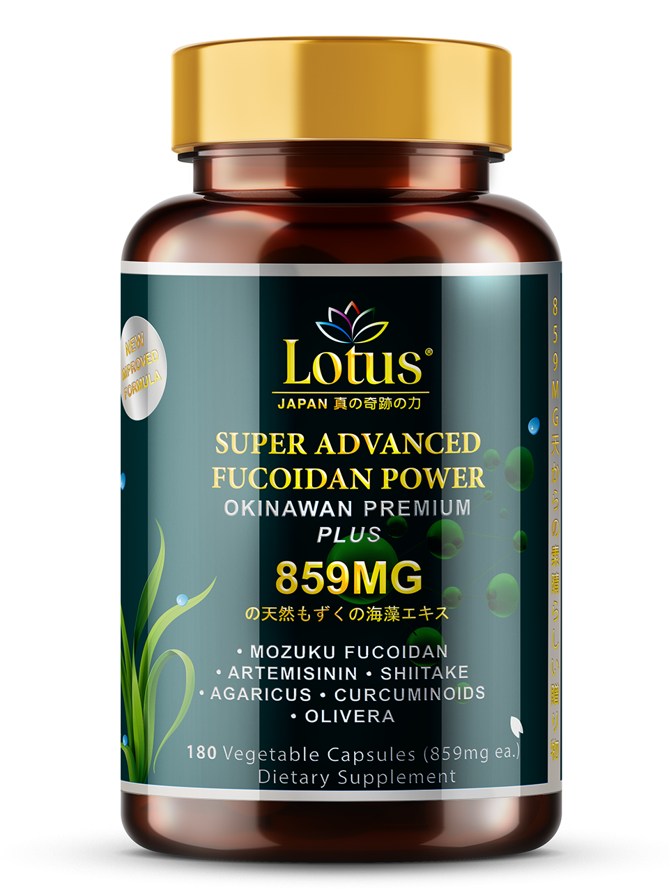 SUPER ADVANCED FUCOIDAN POWER PLUS 859MG - 180 CAPS